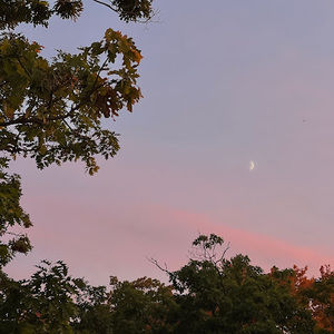 Meet your Posher, Yue